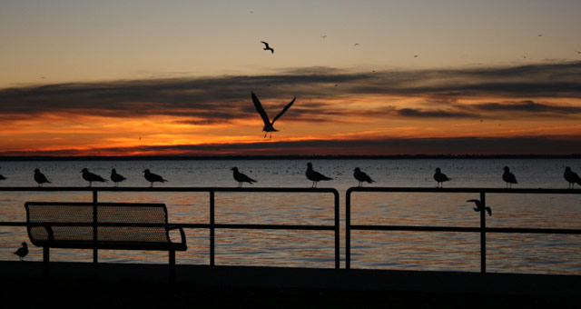 Beautiful sunrises on Lake Saint Clair